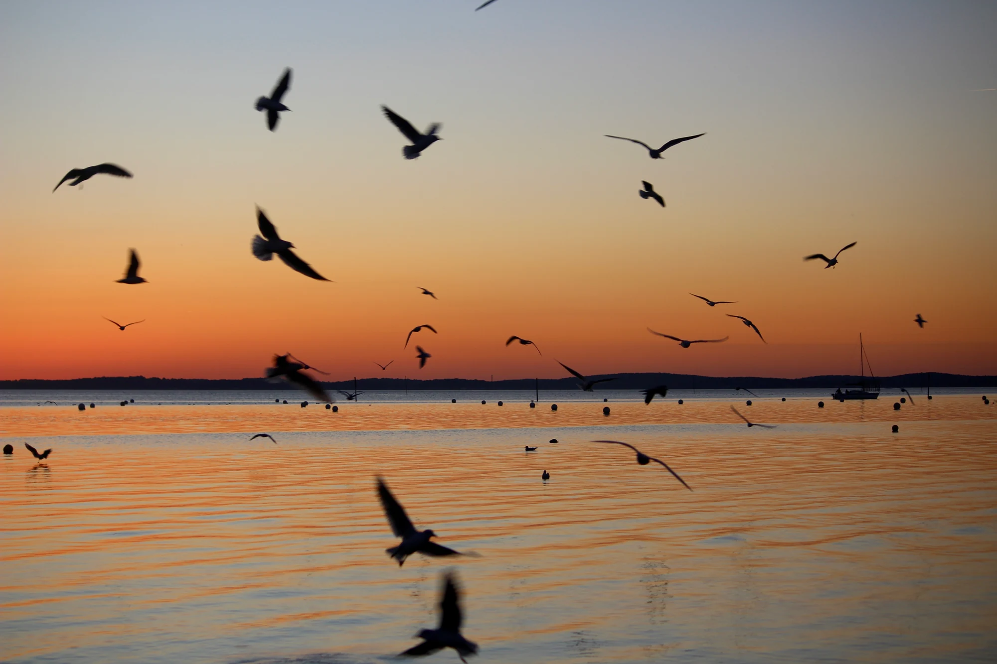 Lumière du soir sur la mer, photographie de Gwenaëlle Barreau